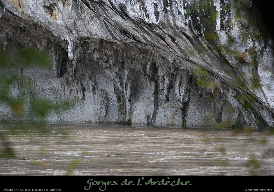 20081022_branches01