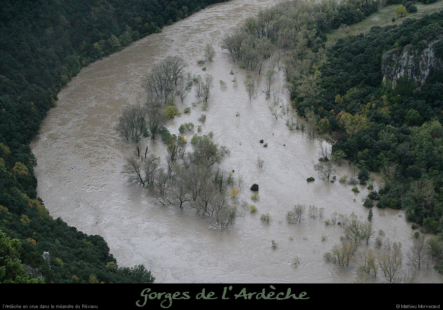 20081022_revaou01