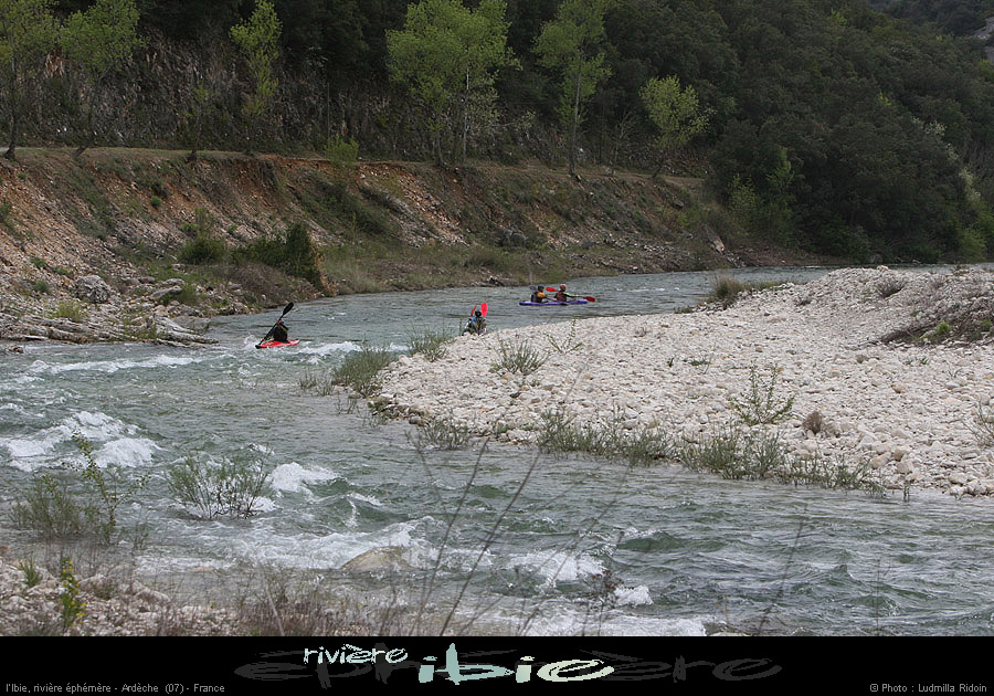 20080421ibie032