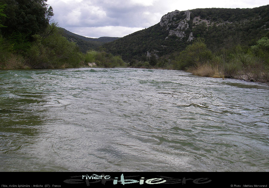 20080421ibie033