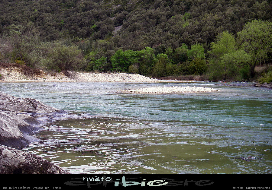 20080421ibie066