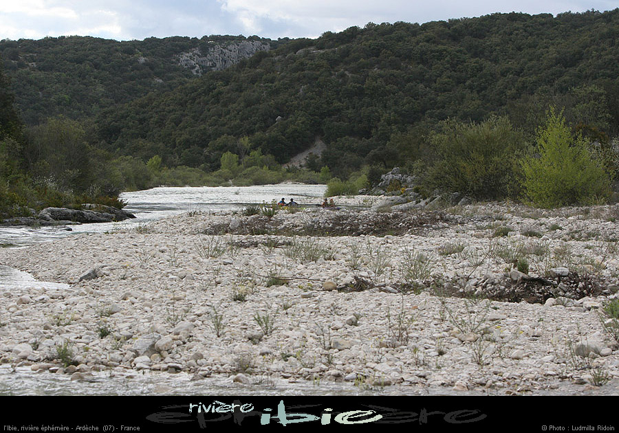 20080421ibie077