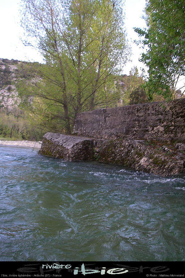20080421ibie118