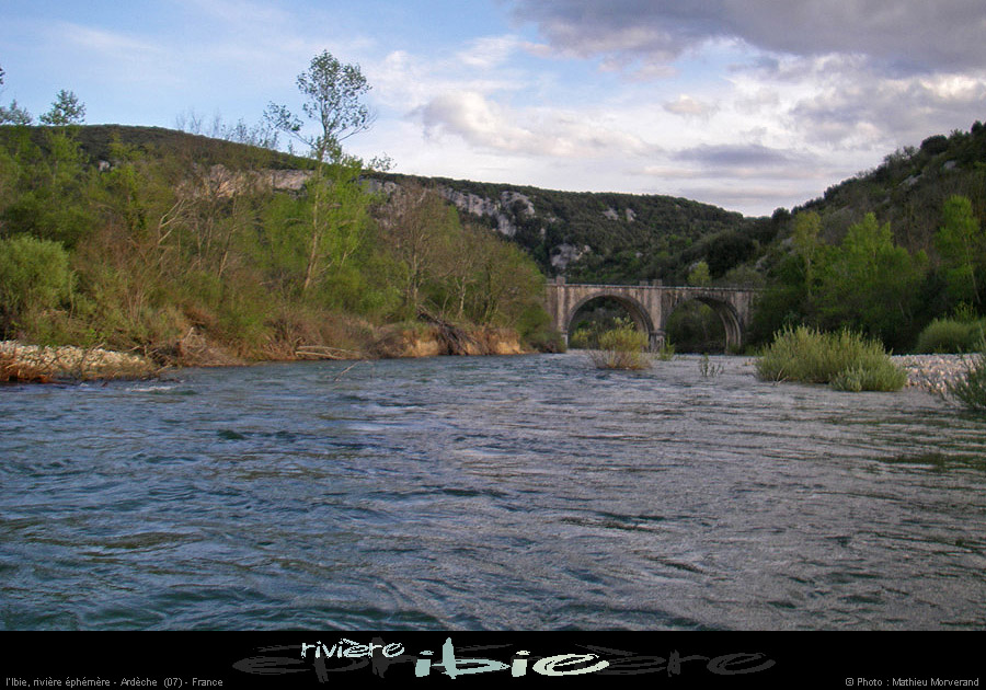 20080421ibie126