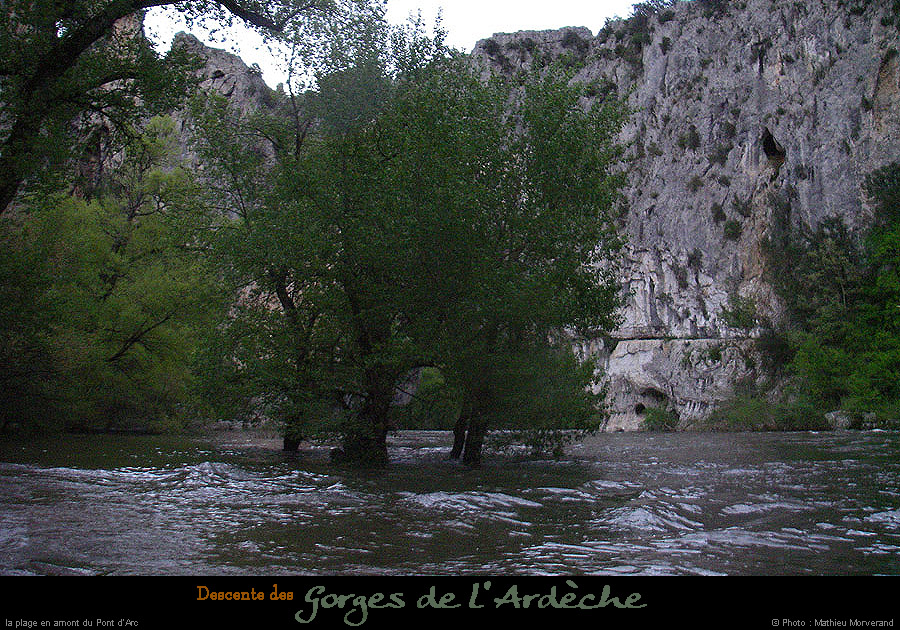 20080421ibie167