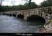 20080421ibie139
