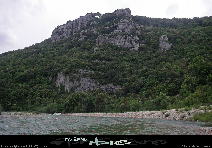 20080531ibie_008