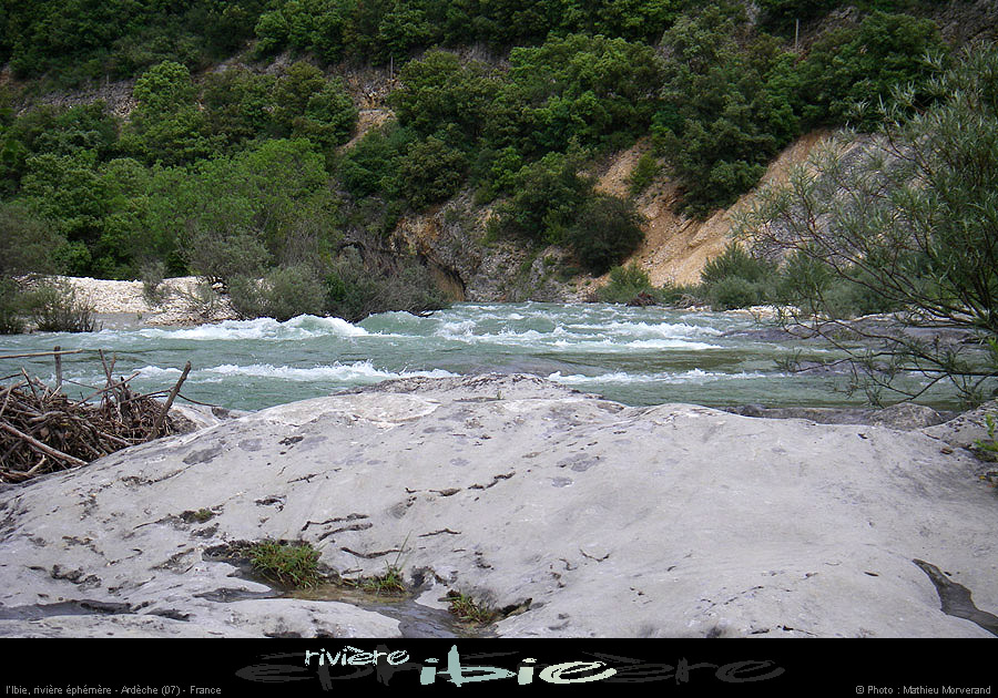 20080531ibie_029