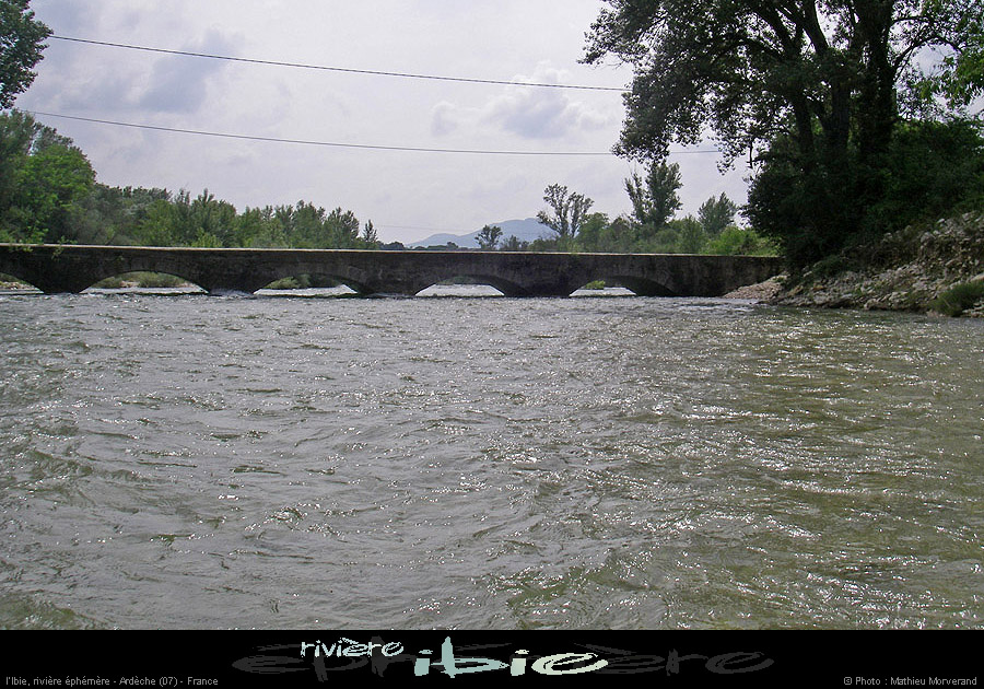 20080531ibie_044