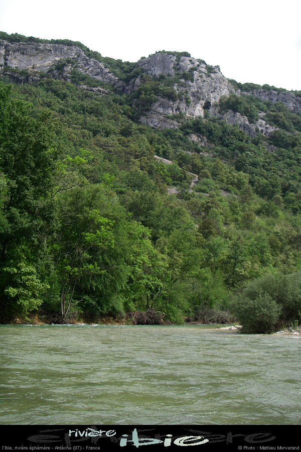 20080531ibie_060