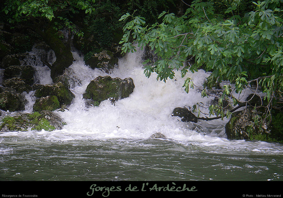 20080531ibie_093