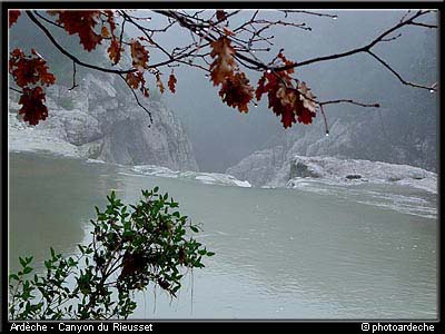 rieusseteneau_022
