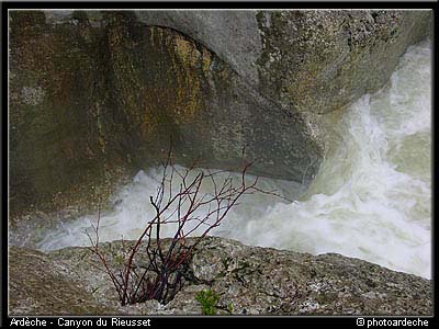 rieusseteneau_033